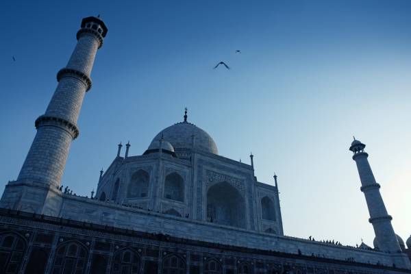 Taj mahal Moon Light Tour